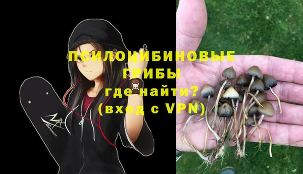 спайс Аркадак