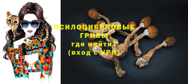 спайс Аркадак