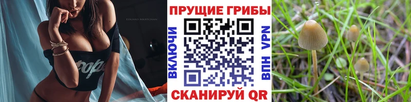 Галлюциногенные грибы мухоморы Порхов