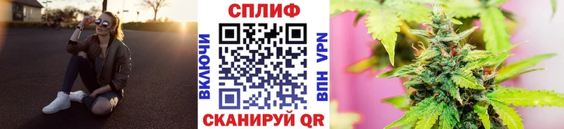 где можно купить Порхов Каннабис Bruce Banner
